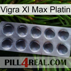 Vigra Xl Max Platinum 30